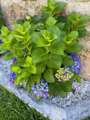 Outdoor Pictures 16