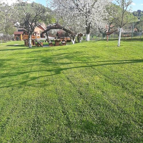 Outdoor Pictures 15