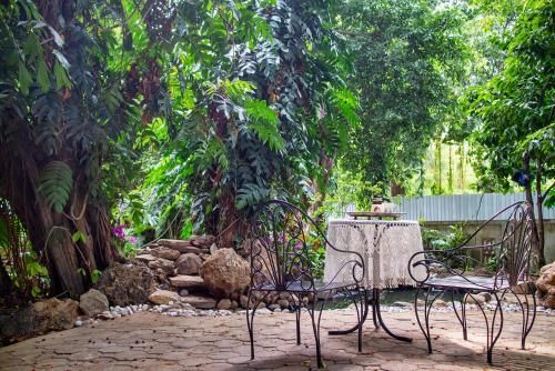 Outdoor Pictures 23