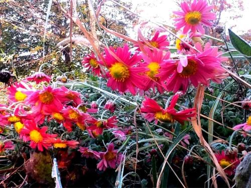 Outdoor Pictures 11