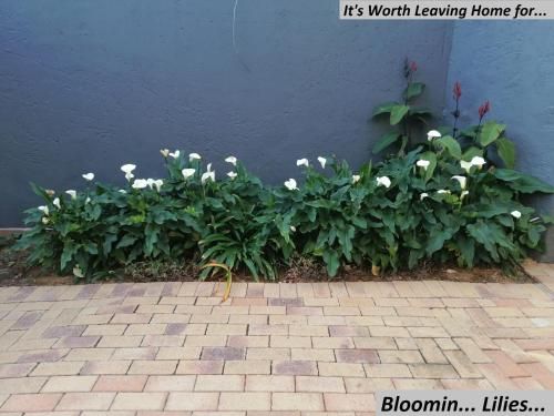 Outdoor Pictures 12