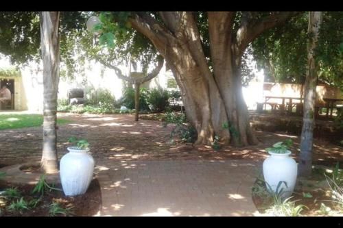 Outdoor Pictures 1