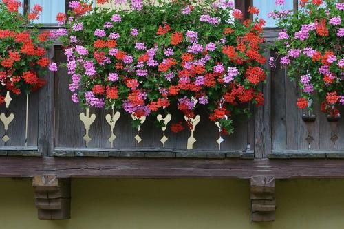 Outdoor Pictures 6