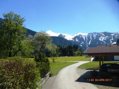 Outdoor Pictures 12