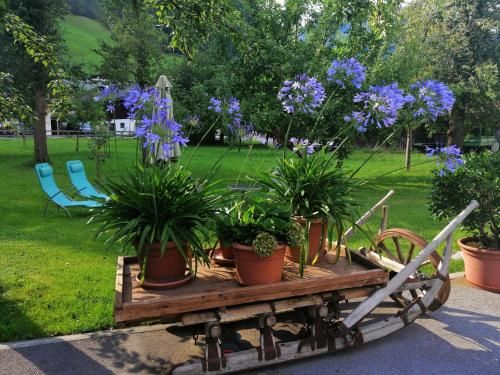 Outdoor Pictures 15