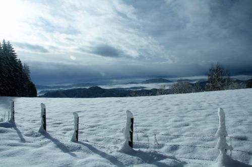 Outdoor Pictures 15