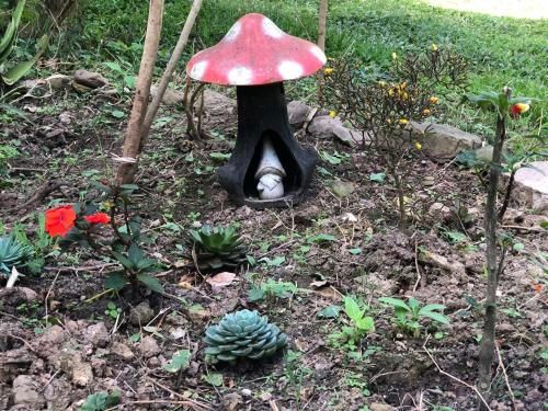 Outdoor Pictures 7