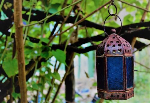 Outdoor Pictures 21