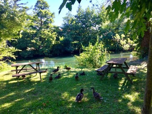 Outdoor Pictures 12