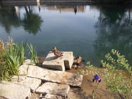 Outdoor Pictures 19