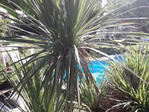 Outdoor Pictures 5