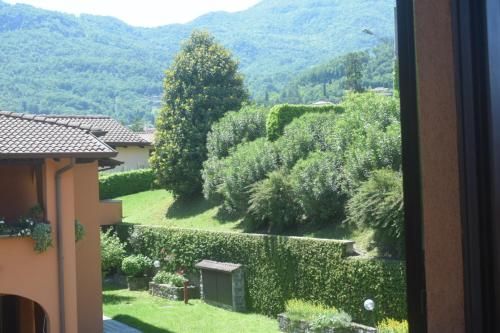 Outdoor Pictures 6