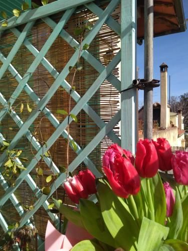Outdoor Pictures 3