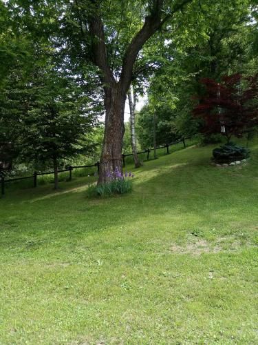 Outdoor Pictures 13