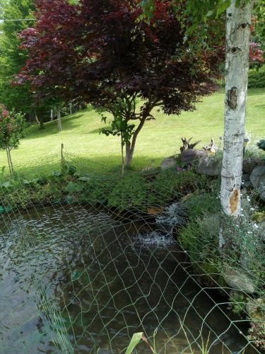Outdoor Pictures 14