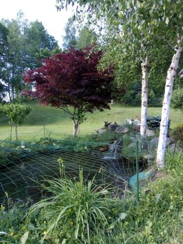 Outdoor Pictures 17
