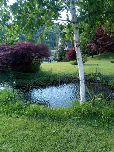 Outdoor Pictures 21