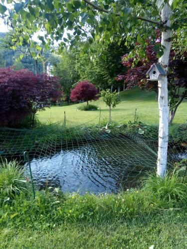 Outdoor Pictures 22