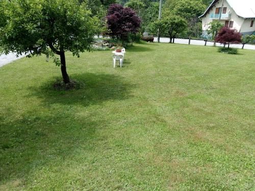 Outdoor Pictures 23