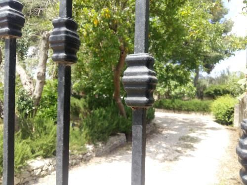 Outdoor Pictures 14