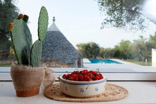 Outdoor Pictures 24