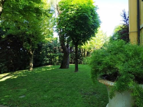 Outdoor Pictures 19