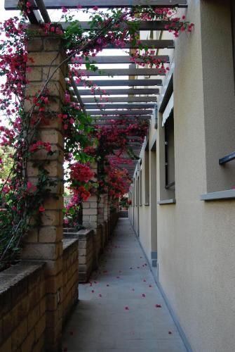 Outdoor Pictures 2