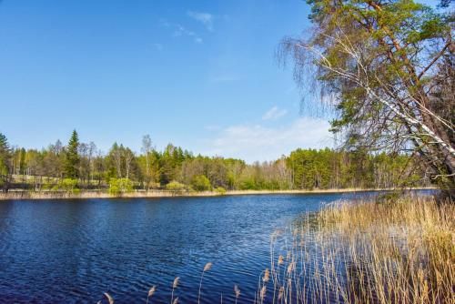 Outdoor Pictures 22