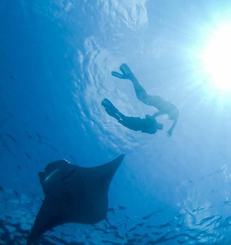 Manta Retreat at Daravandhoo