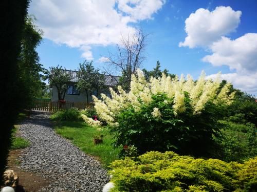 Outdoor Pictures 14