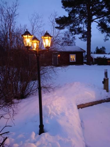 Outdoor Pictures 8