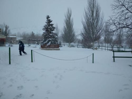 Outdoor Pictures 3