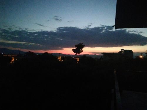 Outdoor Pictures 9