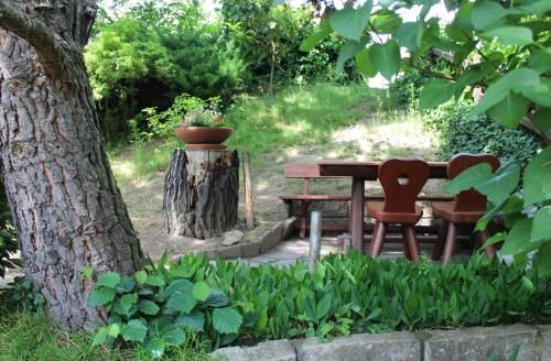 Outdoor Pictures 8
