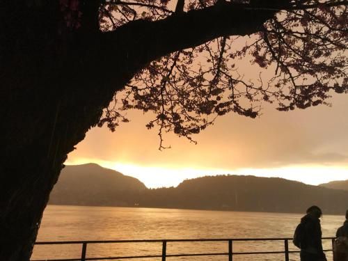 Outdoor Pictures 7