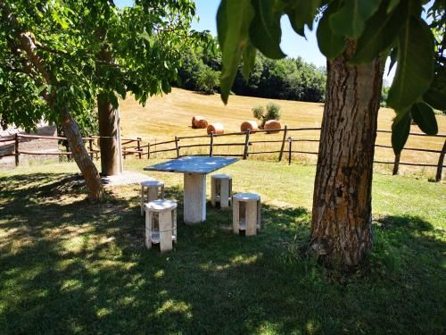 Outdoor Pictures 10