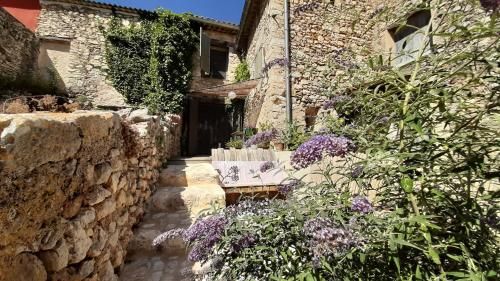 Outdoor Pictures 21