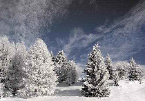 Outdoor Pictures 24