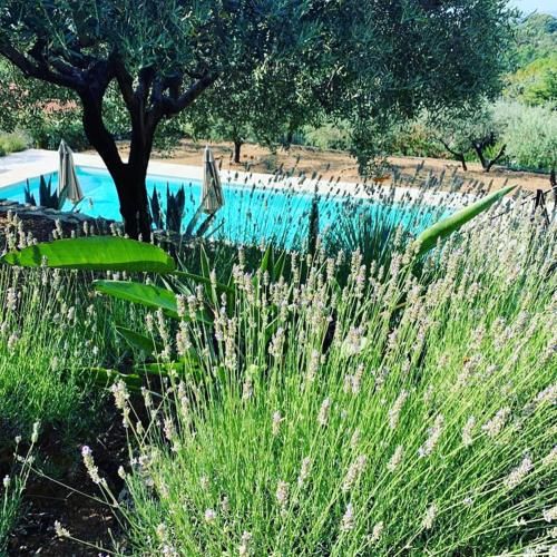 Le Clos en Provence