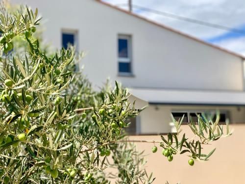 Outdoor Pictures 24
