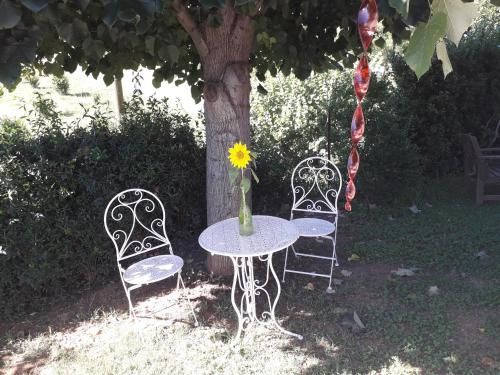 Outdoor Pictures 11