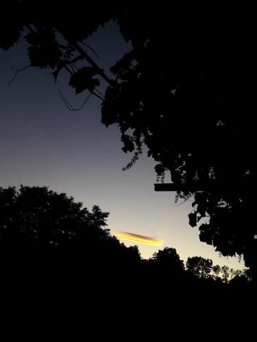 Outdoor Pictures 12