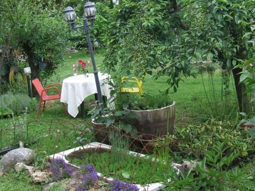 Outdoor Pictures 15