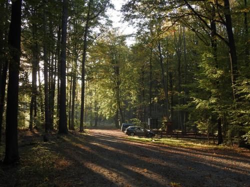 Outdoor Pictures 7