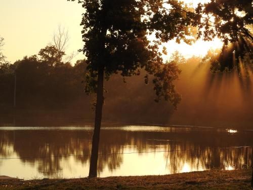 Outdoor Pictures 16