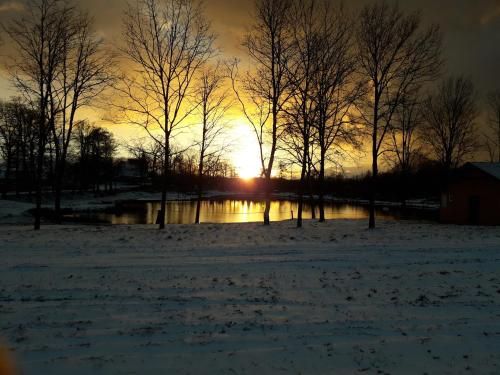 Outdoor Pictures 20