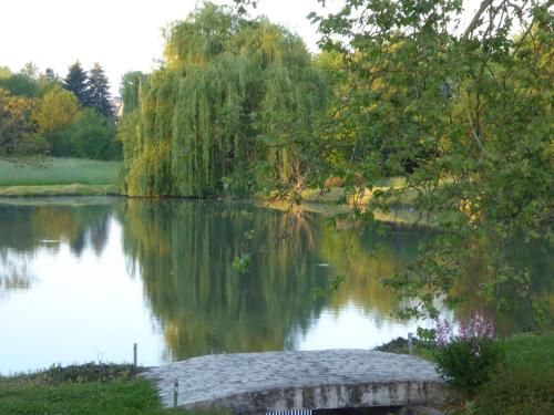 Outdoor Pictures 4