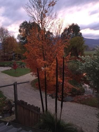 Outdoor Pictures 4