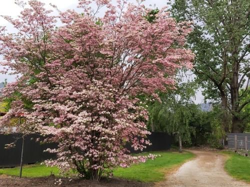 Outdoor Pictures 15