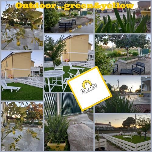 Outdoor Pictures 6